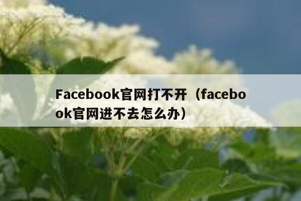 Facebook官网打不开（facebook官网进不去怎么办） 第1张