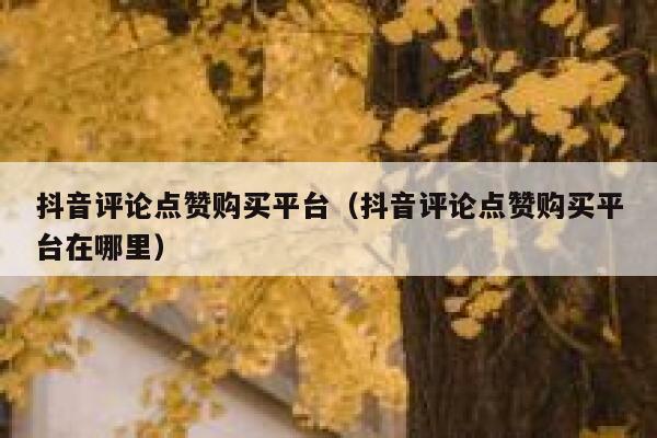 抖音评论点赞购买平台（抖音评论点赞购买平台在哪里） 第1张