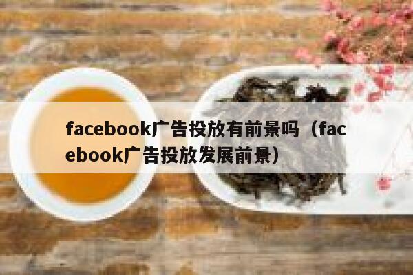 facebook广告投放有前景吗（facebook广告投放发展前景） 第1张
