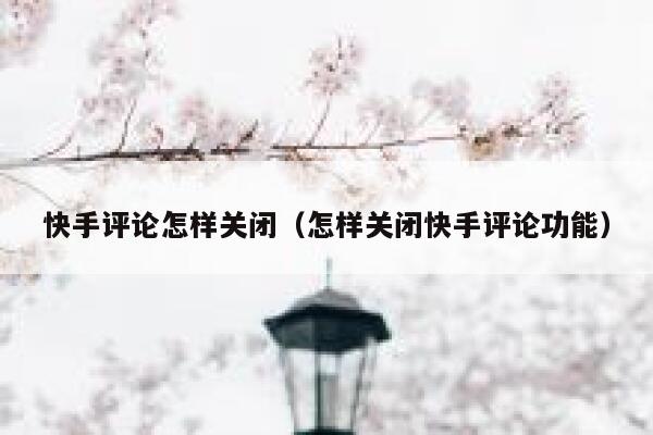 快手评论怎样关闭（怎样关闭快手评论功能） 第1张