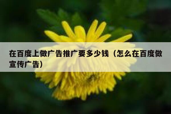 在百度上做广告推广要多少钱（怎么在百度做宣传广告） 第1张