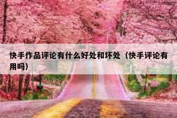快手作品评论有什么好处和坏处（快手评论有用吗） 第1张