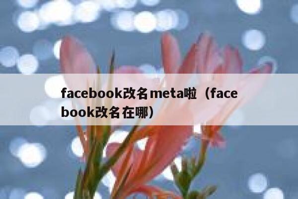 facebook改名meta啦（facebook改名在哪） 第1张