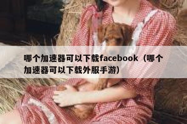 哪个加速器可以下载facebook（哪个加速器可以下载外服手游） 第1张