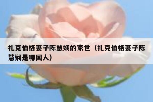 扎克伯格妻子陈慧娴的家世（扎克伯格妻子陈慧娴是哪国人） 第1张