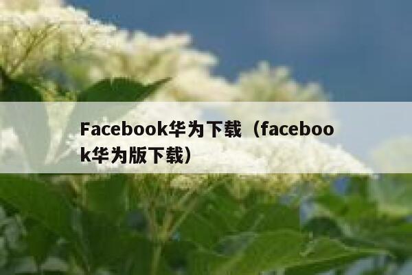 Facebook华为下载（facebook华为版下载） 第1张