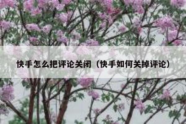 快手怎么把评论关闭（快手如何关掉评论） 第1张