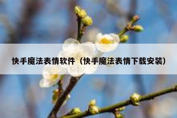 快手魔法表情软件（快手魔法表情下载安装） 第1张