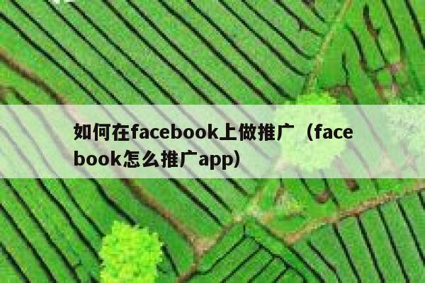 如何在facebook上做推广（facebook怎么推广app） 第1张