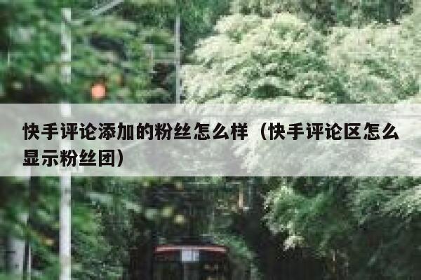 快手评论添加的粉丝怎么样（快手评论区怎么显示粉丝团） 第1张