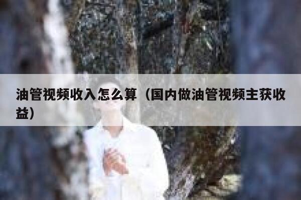油管视频收入怎么算（国内做油管视频主获收益） 第1张