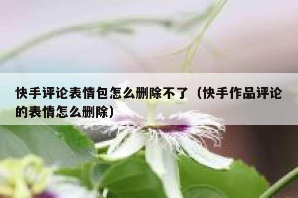 快手评论表情包怎么删除不了（快手作品评论的表情怎么删除） 第1张