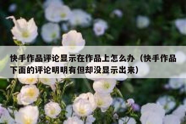 快手作品评论显示在作品上怎么办（快手作品下面的评论明明有但却没显示出来） 第1张