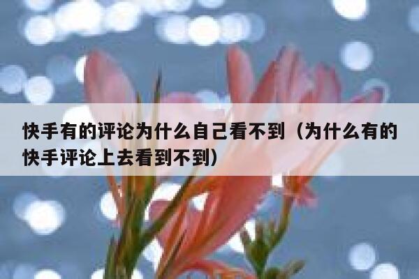 快手有的评论为什么自己看不到（为什么有的快手评论上去看到不到） 第1张