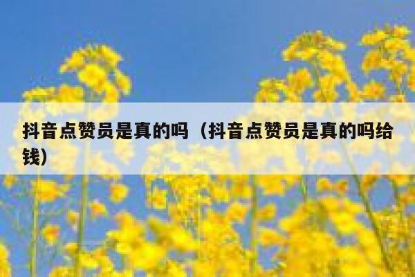 抖音点赞员是真的吗（抖音点赞员是真的吗给钱） 第1张