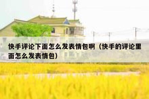 快手评论下面怎么发表情包啊（快手的评论里面怎么发表情包） 第1张