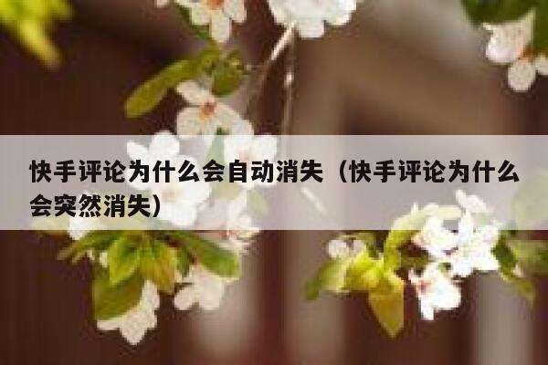 快手评论为什么会自动消失（快手评论为什么会突然消失） 第1张
