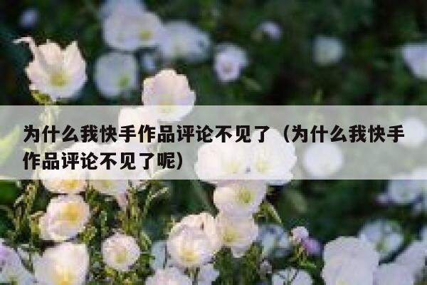 为什么我快手作品评论不见了（为什么我快手作品评论不见了呢） 第1张