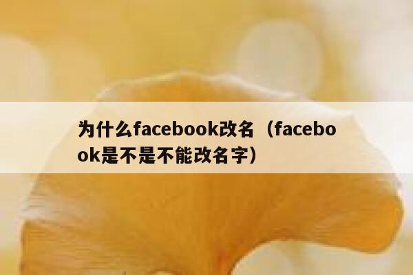 为什么facebook改名（facebook是不是不能改名字） 第1张