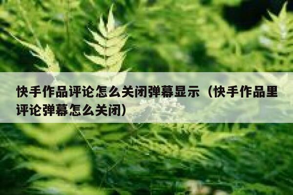 快手作品评论怎么关闭弹幕显示（快手作品里评论弹幕怎么关闭） 第1张