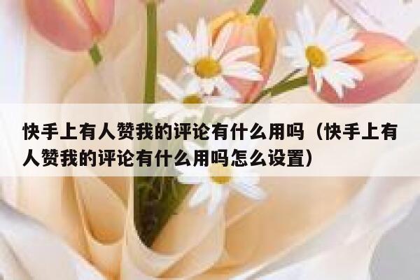 快手上有人赞我的评论有什么用吗（快手上有人赞我的评论有什么用吗怎么设置） 第1张