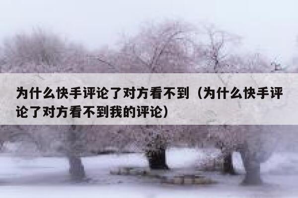 为什么快手评论了对方看不到（为什么快手评论了对方看不到我的评论） 第1张