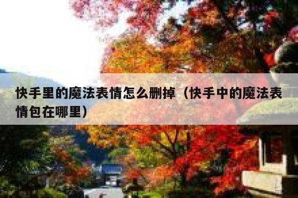 快手里的魔法表情怎么删掉（快手中的魔法表情包在哪里） 第1张
