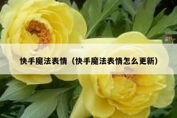 快手魔法表情（快手魔法表情怎么更新） 第1张