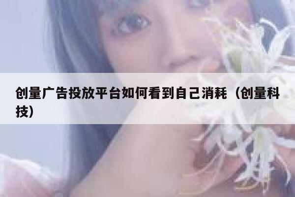 创量广告投放平台如何看到自己消耗（创量科技） 第1张
