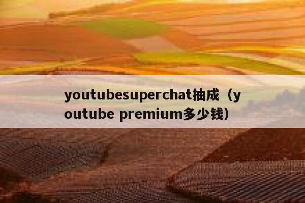 youtubesuperchat抽成（youtube premium多少钱） 第1张