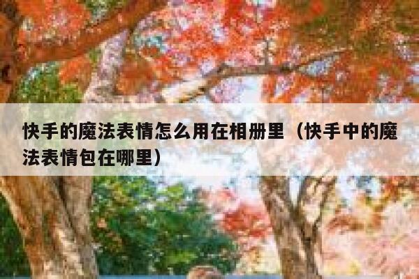 快手的魔法表情怎么用在相册里（快手中的魔法表情包在哪里） 第1张