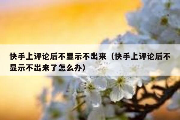 快手上评论后不显示不出来（快手上评论后不显示不出来了怎么办） 第1张