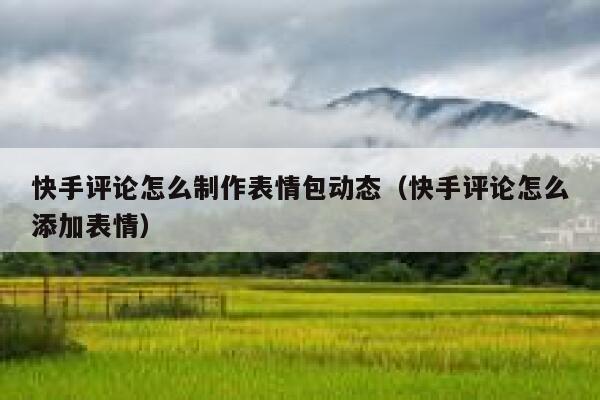 快手评论怎么制作表情包动态（快手评论怎么添加表情） 第1张
