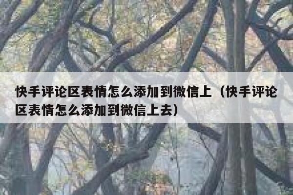 快手评论区表情怎么添加到微信上（快手评论区表情怎么添加到微信上去） 第1张