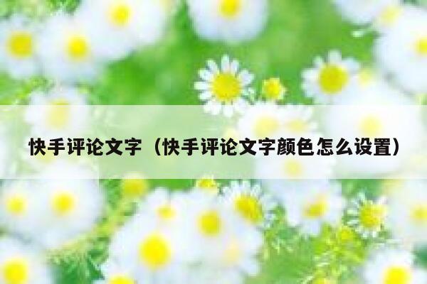 快手评论文字（快手评论文字颜色怎么设置） 第1张