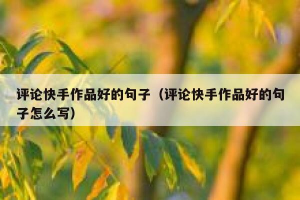 评论快手作品好的句子（评论快手作品好的句子怎么写） 第1张