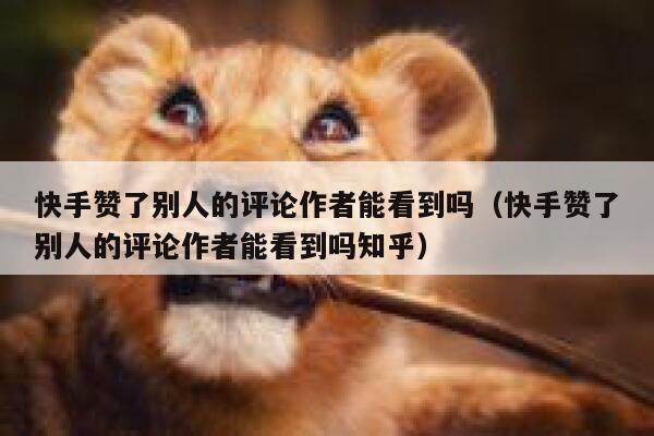 快手赞了别人的评论作者能看到吗（快手赞了别人的评论作者能看到吗知乎） 第1张