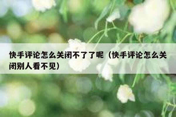 快手评论怎么关闭不了了呢（快手评论怎么关闭别人看不见） 第1张