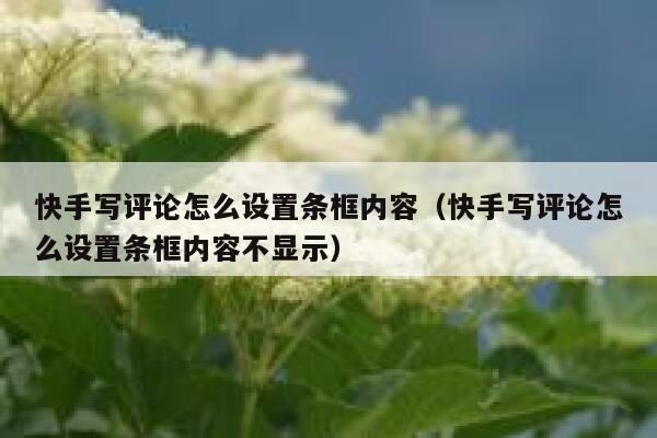 快手写评论怎么设置条框内容（快手写评论怎么设置条框内容不显示） 第1张