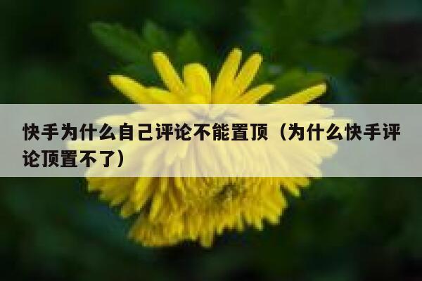 快手为什么自己评论不能置顶（为什么快手评论顶置不了） 第1张