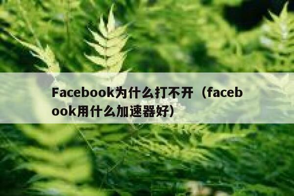 Facebook为什么打不开（facebook用什么加速器好） 第1张