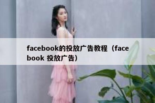 facebook的投放广告教程（facebook 投放广告） 第1张