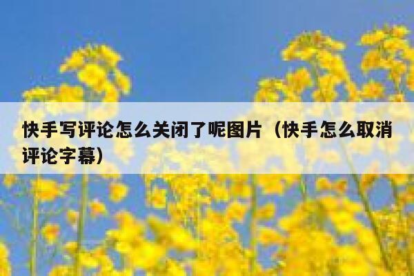 快手写评论怎么关闭了呢图片（快手怎么取消评论字幕） 第1张