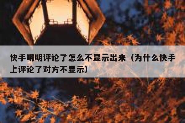 快手明明评论了怎么不显示出来（为什么快手上评论了对方不显示） 第1张