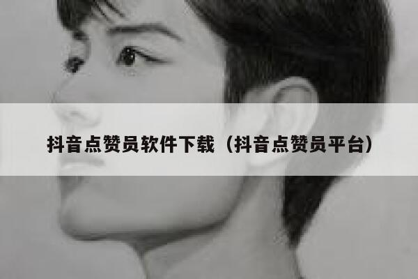 抖音点赞员软件下载（抖音点赞员平台） 第1张