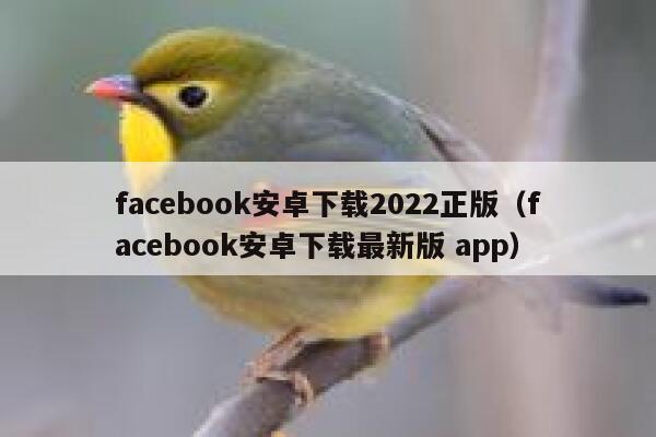 facebook安卓下载2022正版（facebook安卓下载最新版 app） 第1张