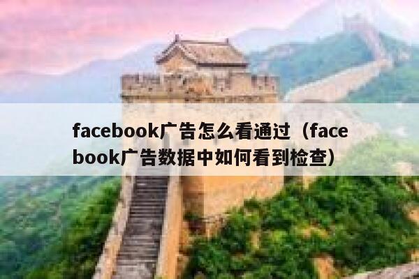 facebook广告怎么看通过（facebook广告数据中如何看到检查） 第1张