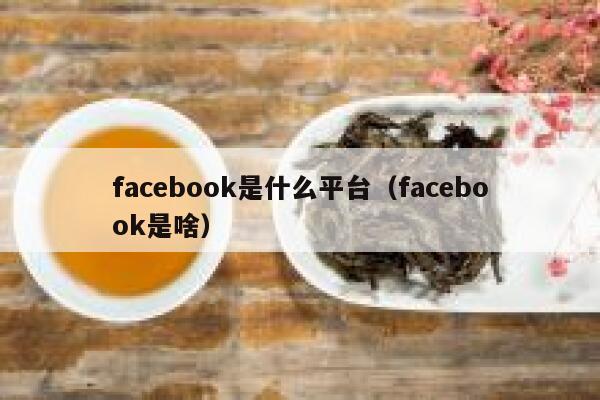facebook是什么平台（facebook是啥） 第1张