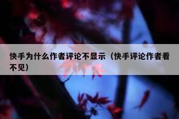 快手为什么作者评论不显示（快手评论作者看不见） 第1张
