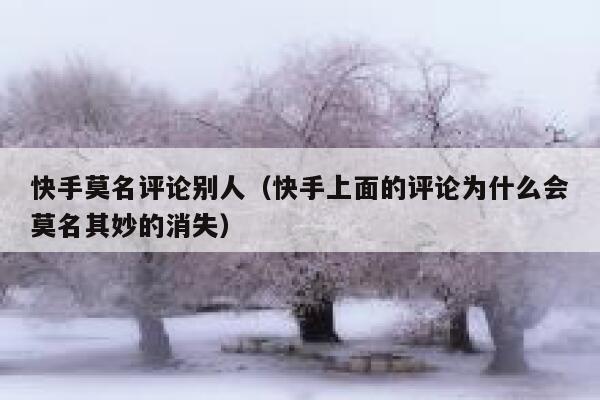 快手莫名评论别人（快手上面的评论为什么会莫名其妙的消失） 第1张